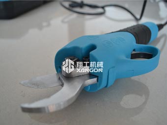 果樹修剪時，電動修枝剪助您一臂之力